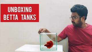 New Betta Tanks for Our Fish Room - Tamil | Jey's Fish Tanks