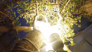 Parkour felino Gopro Hero 3+black