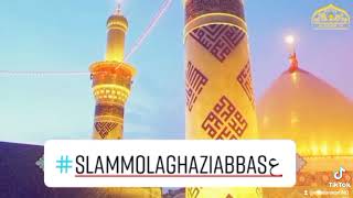 Mola Ghazi Abbas as  (Shia whatsapp Status)