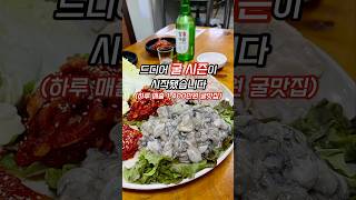 드디어 굴 시즌 시작됐습니다 하루 매출 1400만원 찍는 시흥 굴 맛집