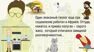 🏠Очередь Перед Кабинетом Гинеколога...Сборник Новых Смешных Жизненных Историй,Для Супер Настроения!