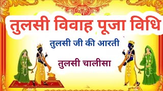 Tulsi Vivah Puja Vidhi || तुलसी विवाह कैसे करे || तुलसी जी की आरती || तुलसी चालीसा |