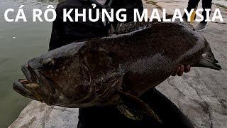 CÂU CÁ RÔ KHỔNG LỒ HÀNH TRÌNH CÂU CÁ MALAYSIA PHẦN 6 HUYNHVANANFISHING