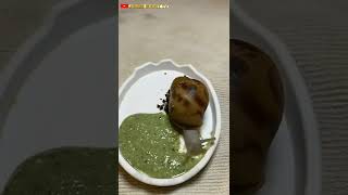 Snail vs Curry By @queenoftheweirdpets #shorts #youtubeshorts #snail