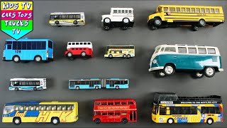 Learn Types of Buses For Kids + More Educational Videos