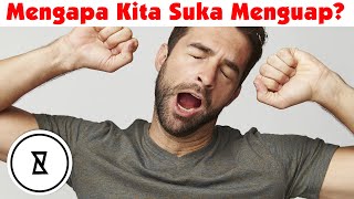 Mengapa Kita Menguap? Pertanyaan Dijawab | Ingin Tahu?