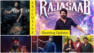 Exclusive Shooting Updates - RajaSaab, Pushpa 2, Double Ismart, DNS, Thandel, Robinhood | Prabhas |