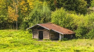 Shkova te rrija te Shoqja e Ngushte