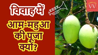 विवाह में आम-महुआ की पूजा क्यों? | Shaadi Ki Rasam | Bihar Ki Shaadi | AamMahuaVivah #VandeVani