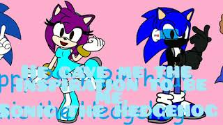 A Birthday Wish for Sonic