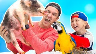 Челлендж Настоящие ЖИВОТНЫЕ против ОБЫЧНОЙ ЕДЫ Что-то Пошло НЕ ТАК New Challenge Real Animals