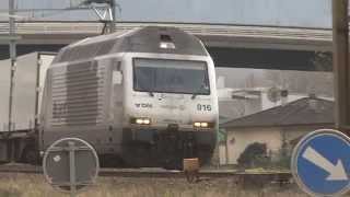 linea  del  Gottardo  transiti  a  Castione