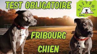 ÉVALUATION des nouveaux détenteurs de CHIEN à FRIBOURG