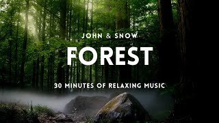 🌳 30 Minutes Relaxing, Ambient Music - Sleep, Instrumental, Calming & Soft Music