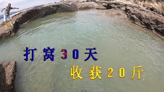 打窝30天连撒200斤猪血3个牛肺的600平巨坑，收获20斤海货，值了