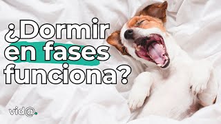 Sueño Polifásico: ¿Es Mejor Dormir en Fases? #VidaTV #sueños