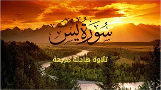 سورة ياسين كاملة مكتوبة مع الترجمة تلاوة هادئة #القرآن_الكريم #القران_الكريم #