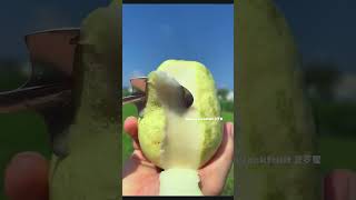 🍓🍒🍏Farm Fresh Ninja Fruit 🍎🍇🍉🍑😍 Eating Fruit yummy Oddly Satisfying Fruit Ninja #2181