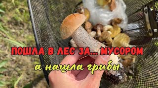 Убираю мусор в лесу | КУПИЛИ ДОМ В ДЕРЕВНЕ