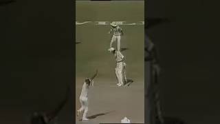 Imran Khan vs  Malcolm Marshall #baseball #cricket