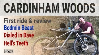 Cardinham Woods MTB Trails - First Ride & Review - on Christmas Day