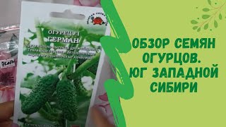 Обзор  семян огурцов. Юг Западной Сибири