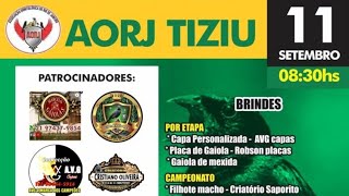 CAMPEONATO DE TIZIU 100% LEGALIZADO. RIO DE JANEIRO.