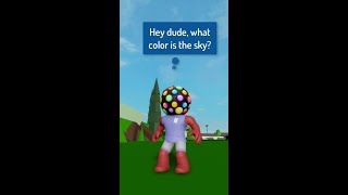 What Color is the Sky? A Roblox Story