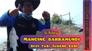 MANCING BARRAMUNDI SPOT TWS/TAWANG SARI WITH SI KOBOY