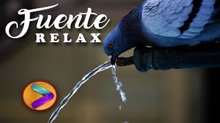 Agua Cayendo Relajante y Suave para Dormir, Meditar y Relajarse🎍💧