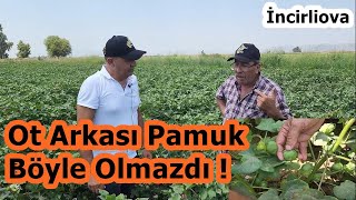 Pamuk Yetiştiriciliği - Pamuk için Yaprak Gübresi - Pamuk Gübreleme