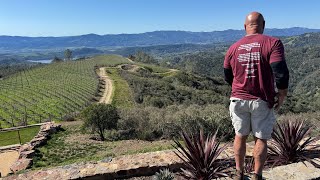 Heat mitigation in the vineyard #vineyard #vineyardlife #vineyard #russellbevan #winemaker #winelife