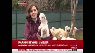 15 MART TARİHLİ HABER