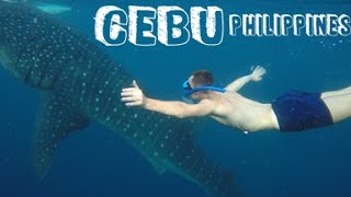 Swimming with whale sharks in Oslob (Philippines) | Travel Vlog #37