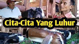 Semoga Tercapai Angan Dan Cita-Citanya||Supaya Ternak Kambingnya Semakin Banyak