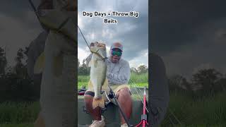 S/O to Matt Allen #bait #fishingbait #swimbaitfishing #outdoors #fishing #glidebait  #bassfishing