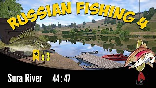 Russian Fishing 4 - Sura River - Ruffe Trophy - Rzeka Sura