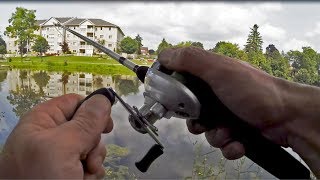 Catching Rainbow Trout In A Tiny Park Pond