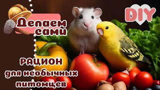 Правильное питание для маленького любимчика