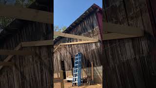 Barn Shed Job - Rafters are almost up