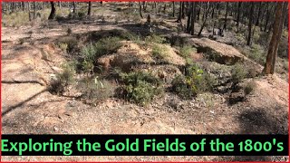 Metal Detecting, Gold Prospecting What it is really like these days.( Episode 160)