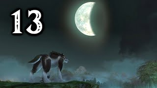 Zelda Twilight Princess HD [13]: Lanayru's Tears