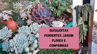 SUCULENTAS PENDENTES FLORES JARDIM E COMPRINHAS