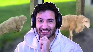 NymN Reacts to OHIO DAILY DOSE 💀💀