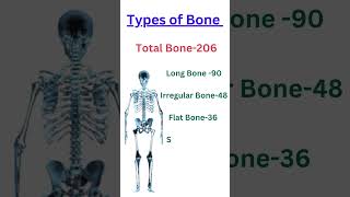 Types of Bone #subscribemychannel #nurshing #gnm