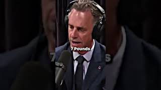 HOW TO BURN FAT QUICKLY - Jordan Peterson