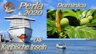 AIDA Perla Karibische Inseln: 04-Dominica