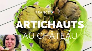 HOW TO PREPARE and EAT ARTICHOKES | VLOG 🇫🇷 #artichokes,  #howtoeatanartichoke, #gabrielalibanio