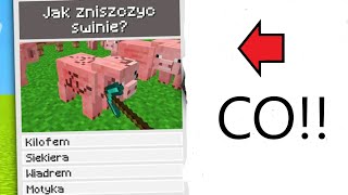 Najgłupszy quiz o minecraft !!!😁😁