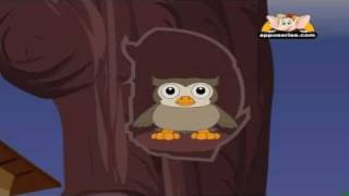 Animal Sounds in Marathi - Owl